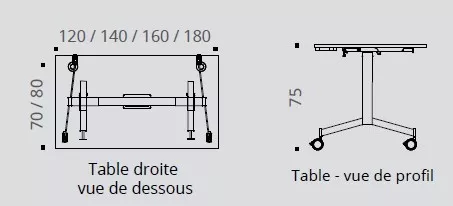 Table abattante Quick Moove sur roulettes Prof 70 et 80 cm